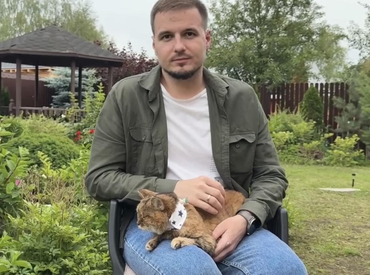 Волонтеры из Москвы создают в России банк данных животных-доноров